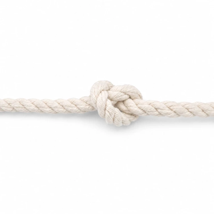 88c5a5073524eb7ca846ed99bc4bca07.jpg
